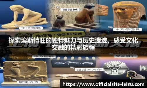 雷速体育
